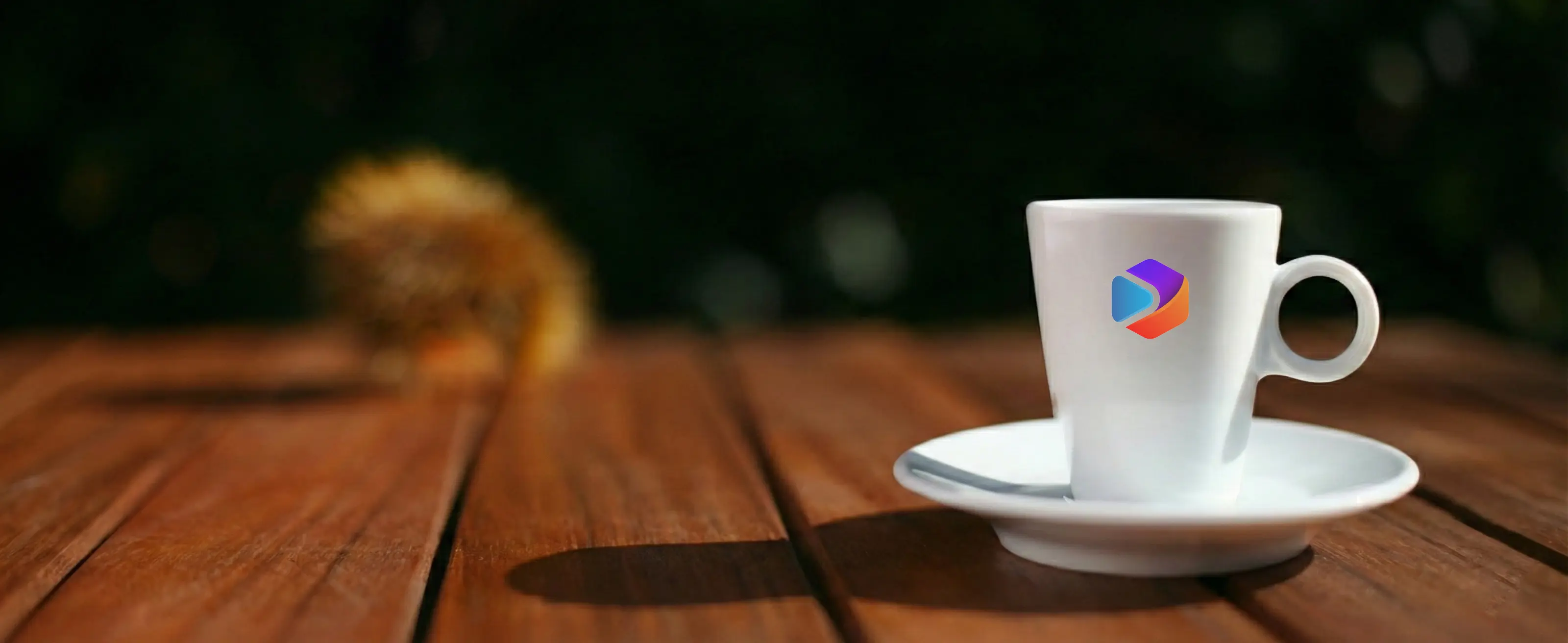 Cup & Saucer